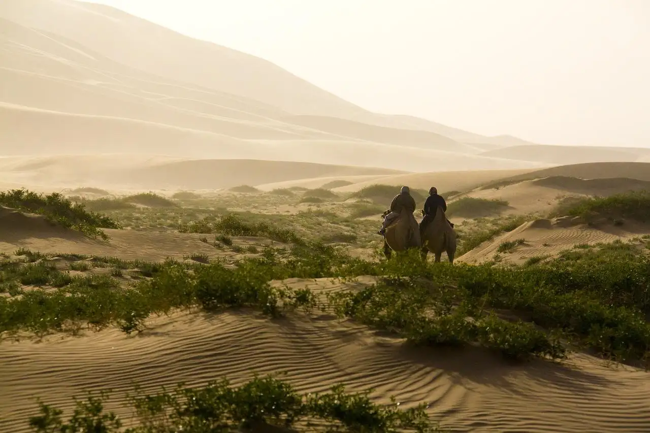 Photo by letitiamperry desert, camel, camelride