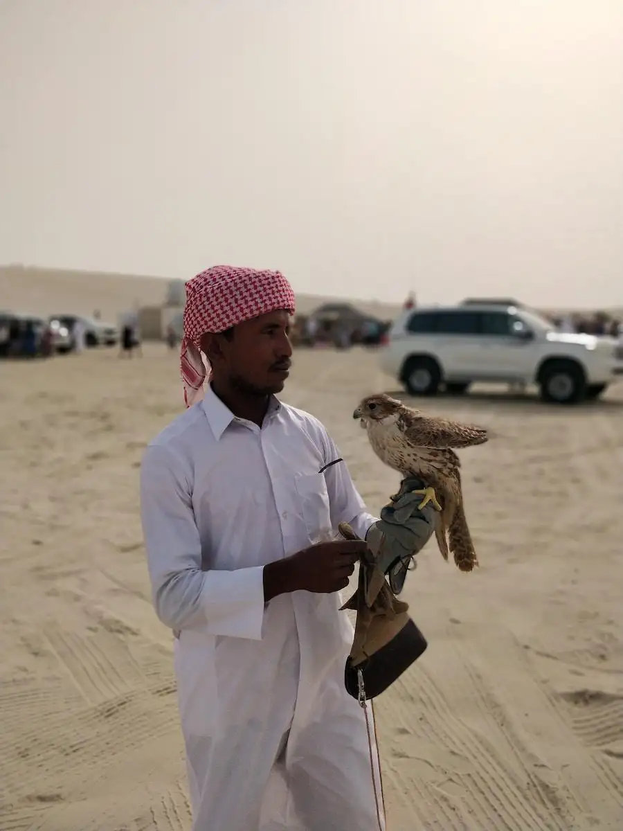 Photo by Darshan Gajara white and brown falcon
