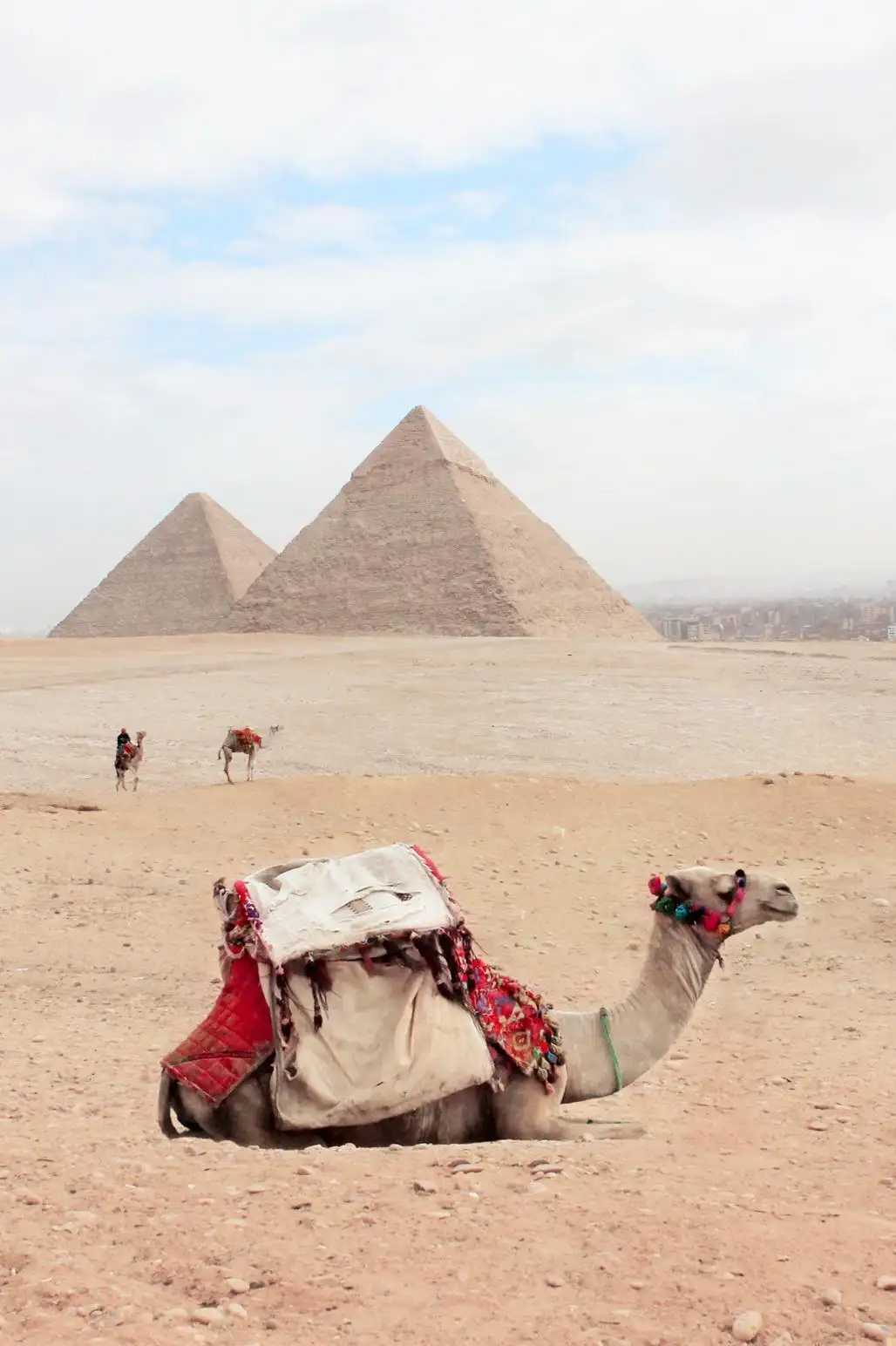 Egypt Egypt