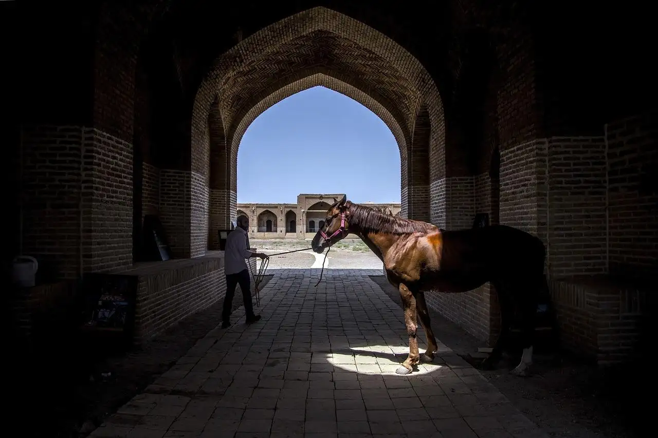 caravansary, horse, man