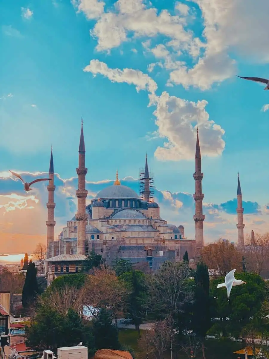 a bird flying over a large building with many spires