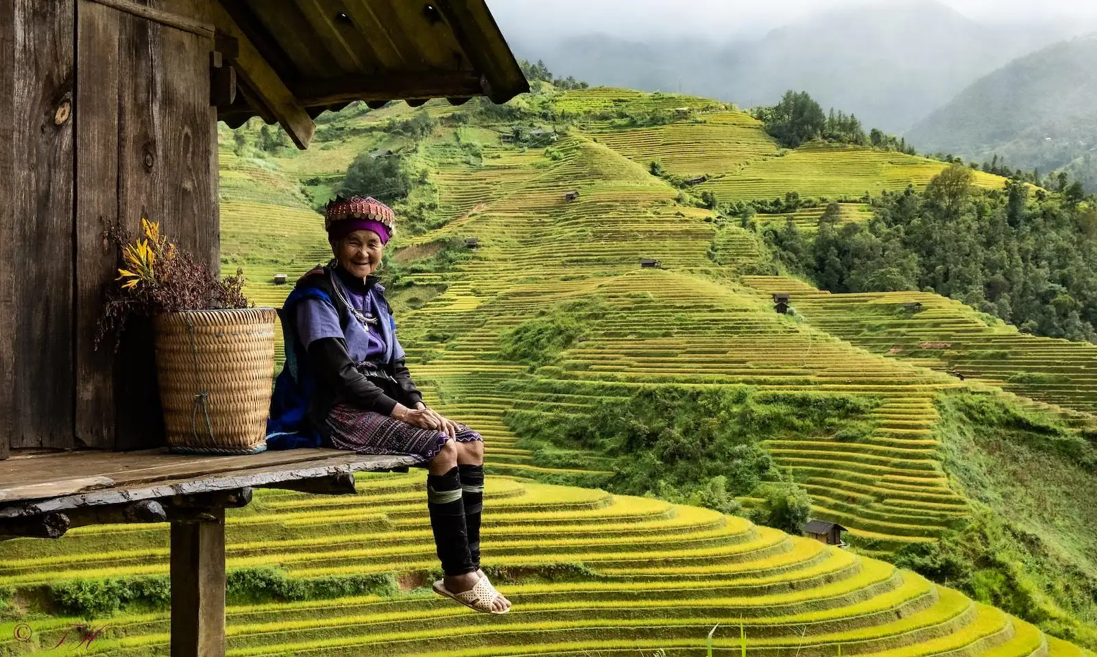 Photo by Hai Tran man in blue and white striped long sleeve shirt sitting on brown wooden bench