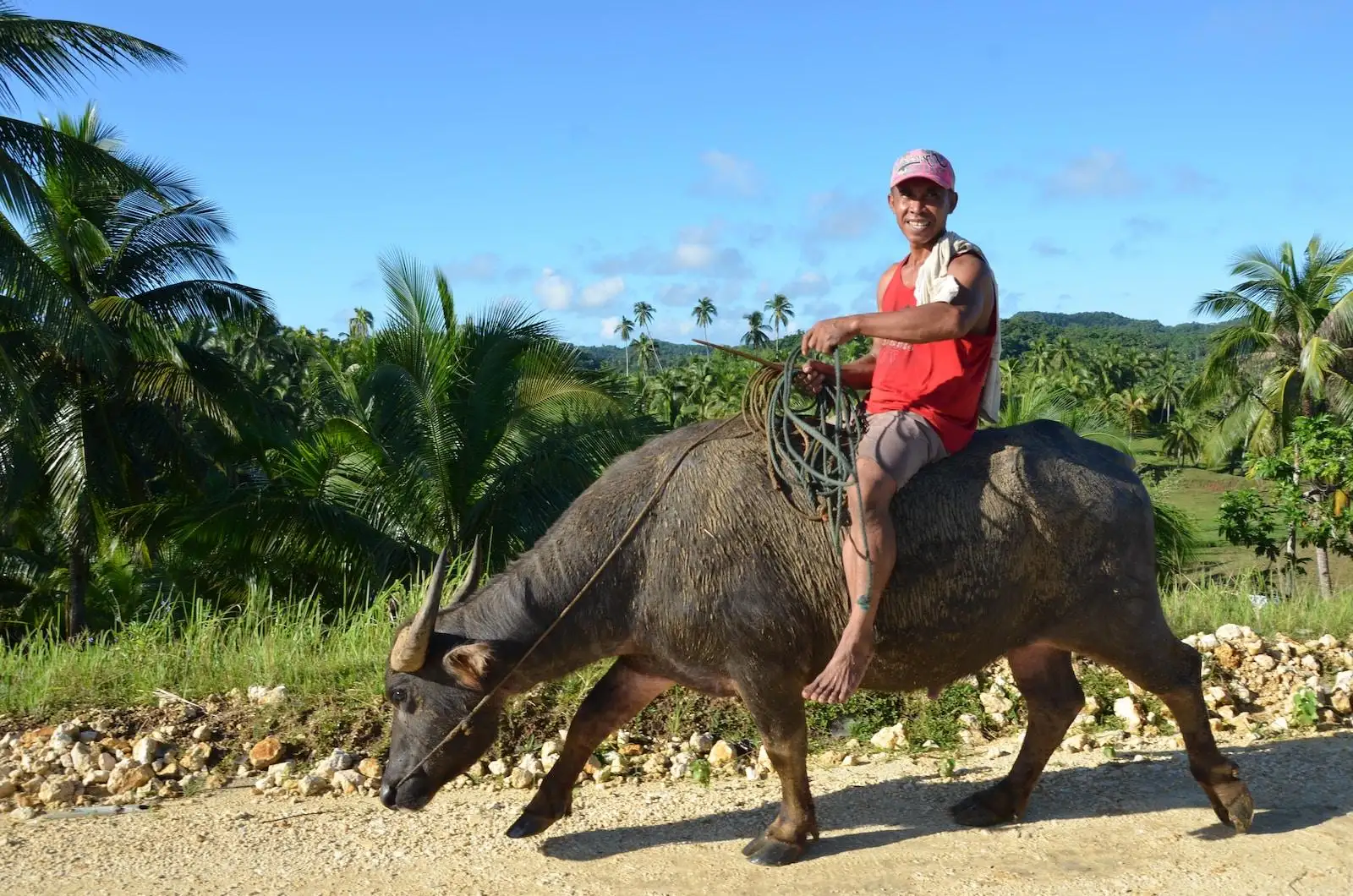 Photo by Beth Macdonald man in red shirt riding black water buffalo during daytime