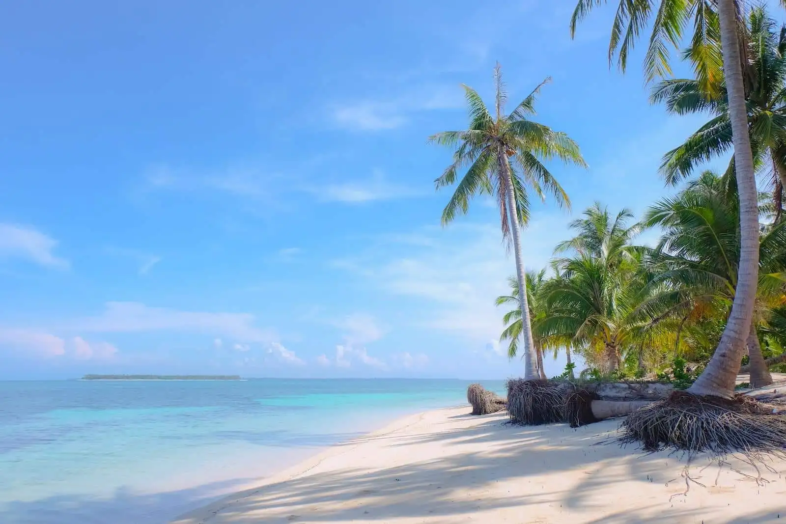 Photo by Cris Tagupa a tropical beach with palm trees and clear water