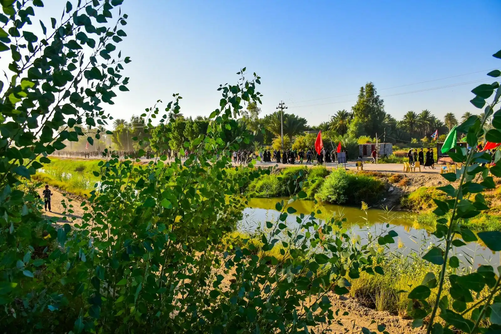 Photo by أخٌفيالله green trees near body of water during daytime