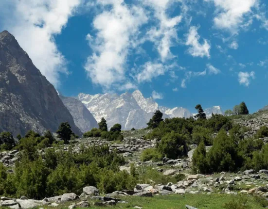 a mountain range with trees and rocks in the foreground