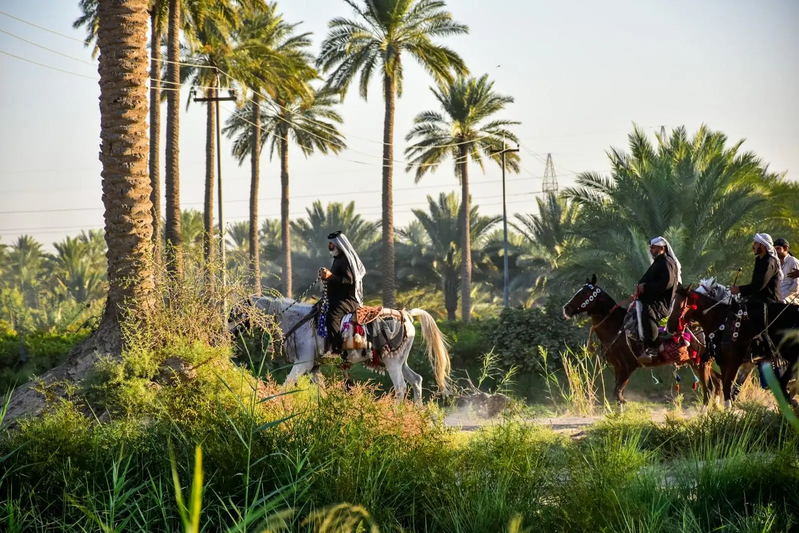 Photo by أخٌفيالله man riding horse on green grass field during daytime