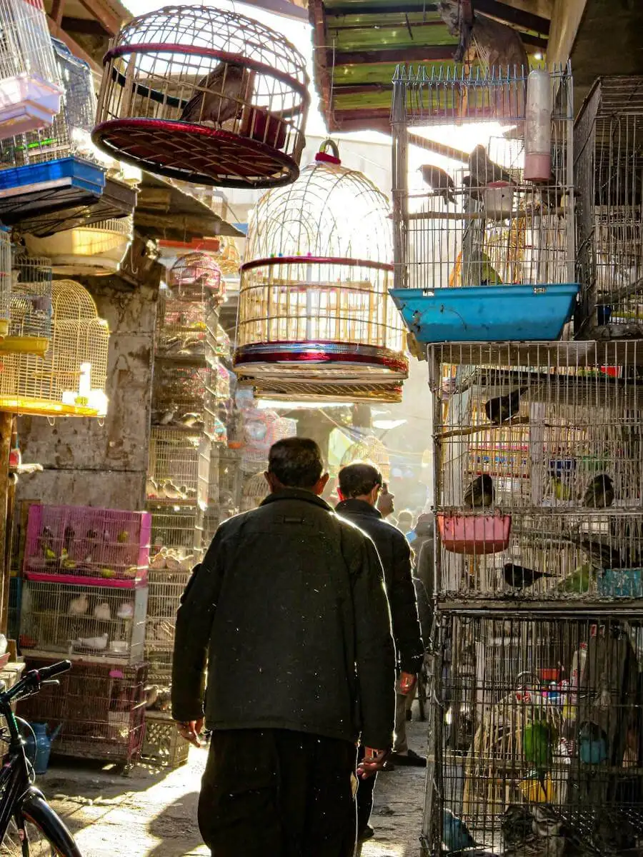 Photo by Mohammad Husaini a couple of men walking down a street past bird cages
