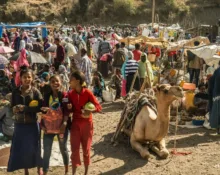 a group of people standing in a crowded area with camels and tents