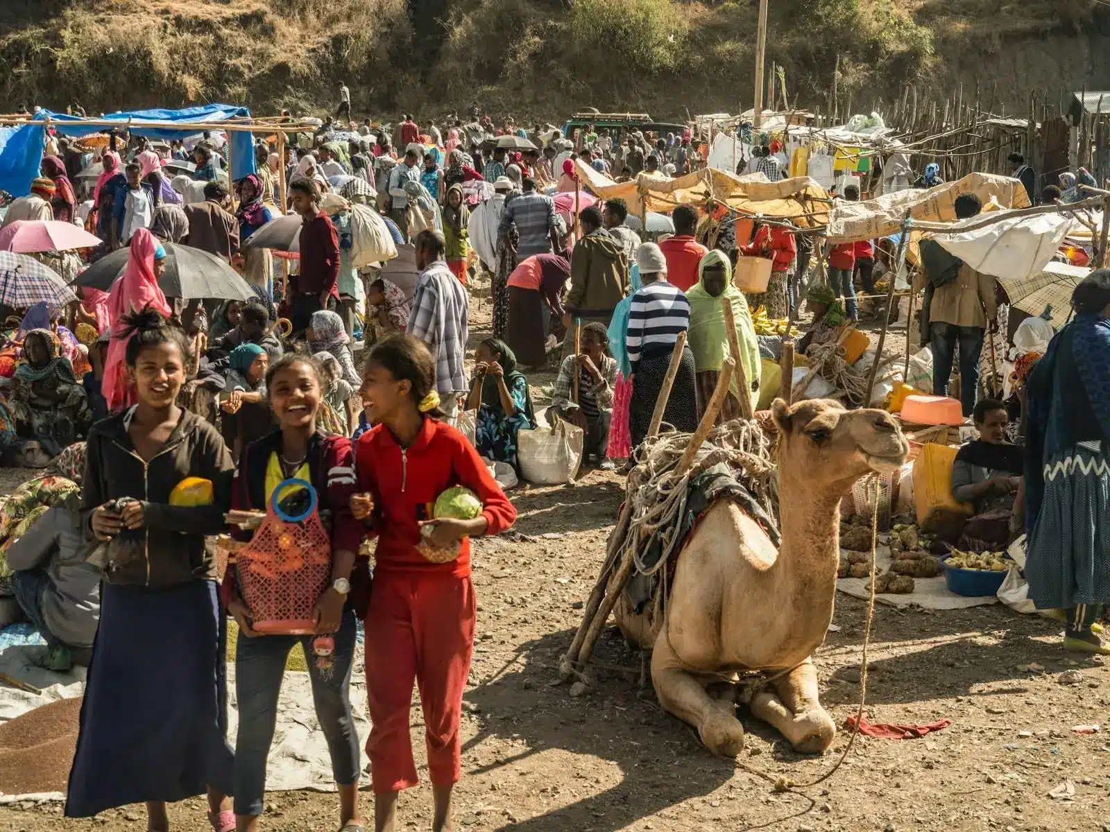 a group of people standing in a crowded area with camels and tents